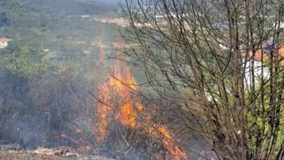 Zonguldak'ta kırsalda yangın paniği: Alevler köy sınırına dayandı