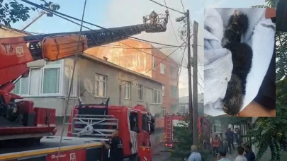 Ümraniye’de yürek ısıtan kurtarma: Kediler alevlerin arasından alındı