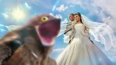 Kimi Balıklarla Evlenmiş, Kimi Eşeği Nikah Şahidi Yapmış: Bu Düğünlerden Sonra Evlenmek İstemeyeceksiniz