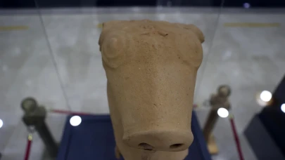 Sivas’ta gün yüzüne çıkan Hitit mirası: “Şarkışla Boğası” müze vitrininde