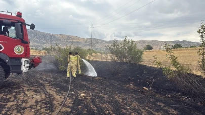 Diyarbakır’da doğa tahribatı: 281 dönümlük alan alevlere teslim oldu
