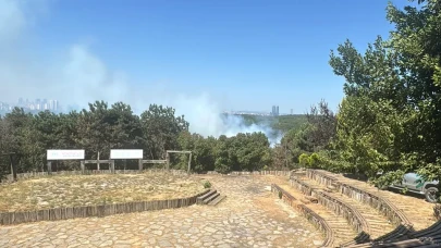İstanbul’un göbeğinde orman alarmı: Sultangazi’de alevler yükseliyor