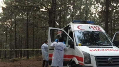 Bir ağaç devrildi, bir hayat söndü: Deneyimli orman işçisi can verdi