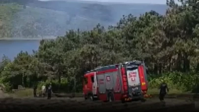 Sultangazi'de kent ormanı alevlere teslim: Müdahale sürüyor