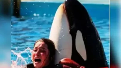 Eğittiği Balina tarafından yutulan Jessica Radcliffe kimdir, aslen nereli, öldü mü?