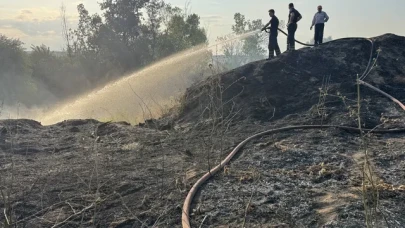 Edirne’de Tunca Nehri Kenarında Yangın: Ağaçlar Zarar Gördü