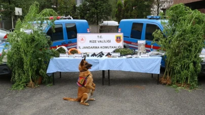 Uyuşturucuya geçit yok: Rize’de 5 kişi tutuklandı