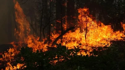 Karabük ormanlarında alev alarmı: Köy tahliye edildi, müdahale sürüyor