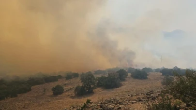 Kepsut’ta Çıkan Orman Yangını Söndürüldü: Bölgede Soğutma Çalışmaları Devam Ediyor