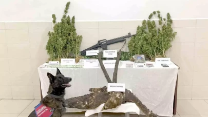 Uyuşturucu serası ve kaçak av Trofesi aynı evde bulundu