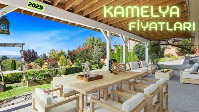 Kamelya Fiyatları ve Modelleri: Ahşap, Bahçe, Hazır, Demir