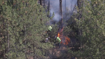 Duman sessizce yayıyor: Yangınlar sonrası sağlık alarmı