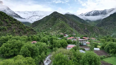 Şırnak’ta iki yerel bitki üç kronik hastalık için umut oldu