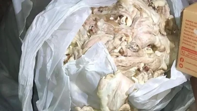 Denetimde ortaya çıktı: Yüzlerce kilo bozuk tavuk etini piyasaya süreceklerdi