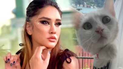 Zeynep Koçak kaybolan kedisi Sinovak'a kavuştu!