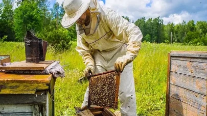 Arıcılık kadın eliyle en verimli dönemini yaşıyor