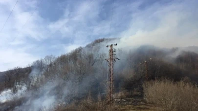 Ordu Mesudiye’de korkutan yangın: Ormanlık alana sıçrayan alevler güçlükle söndürüldü