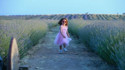 Uşak’ta lavanta bahçeleri göz kamaştırıyor, turist akını artıyor