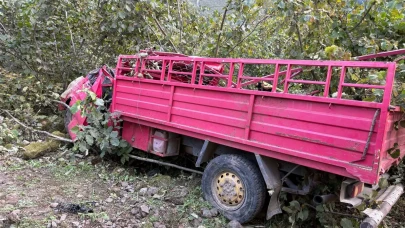 Fındık bahçesinde can pazarı: Giresun'da aile pikniği facia ile sonuçlandı