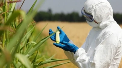 Ziraat Mühendisliği Maaşları 2025: Ne Kadar Kazanıyorlar?