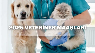 Veteriner maaşı 2025: Devlet (kamu) ve özel sektörde ne kadar? En yüksek kazanç nerede?