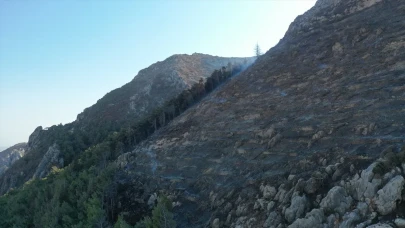 Antakya’da alevlerle mücadele sonuç verdi, yangın kontrol altında