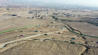 Van’da 2 bin fidanla kurulan sessiz kasaba: Yeni sahipleri köpekler oldu