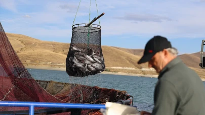 Bu sessiz şehirden Rusya’ya tonlarca somon gidiyor!