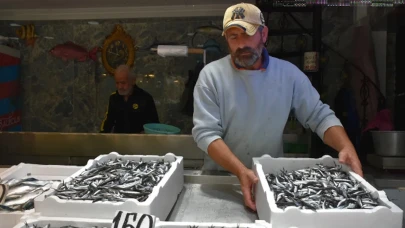 Yağmur sonrası balıkçılar rahatladı: Tezgahta bolluk, fiyatlar uygun