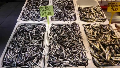 Karadeniz’de palamut kayboldu, hamsi yüz güldürdü