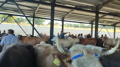 Bartın’da hayvan satışı yasaklandı: Şap için kapsamlı tedbir alındı