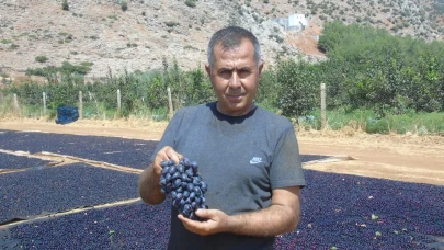 Gaziantep’in tescilli üzümleri kışa hazırlanıyor