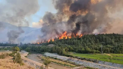 Yemek molası faciaya mı dönüştü? Eflani'de 5 kişi orman yangınıyla suçlandı