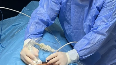 Dev guatr bir saatte tarihe karıştı!