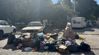 İzmir’de çöp şikâyeti dağ gibi arttı: Mahalleli taşınmayı bile düşünüyor