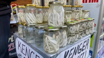 Sağlık için aranıyor: Kenger sakızı üretimi köylüye kazanç sağlıyor