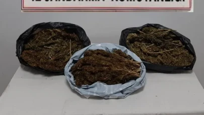 Adana’da uyuşturucuya yüksek teknoloji: Konteynerlerde skunk tarlası