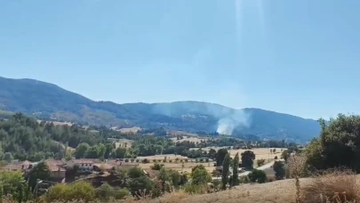 Buldan’da ormanlık alan yanıyor, çok sayıda ekip sevk edildi