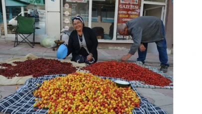 Dağlarda emek, pazarda kazanç: Tercan’ın doğal hazineleri