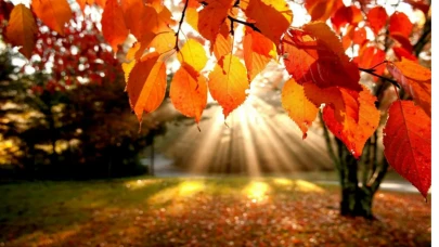 23 Eylül’de Mevsim Değişiyor: Sonbahar Ekinoksunun Anlamı ve Etkileri