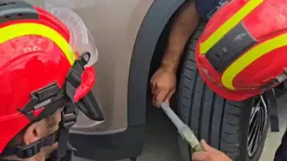 Silivri’de cipin motorunda doğan 6 kedi kurtarıldı