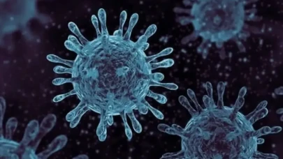 Enfeksiyon nedir? Belirtileri, türleri ve korunma yolları