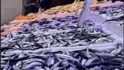 Trabzon’da hamsi bolluğu: Tezgahlar doldu taştı