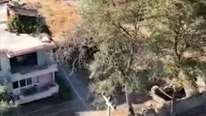 25 yıllık sır çözüldü: Kardeş cinayetini itiraf etti