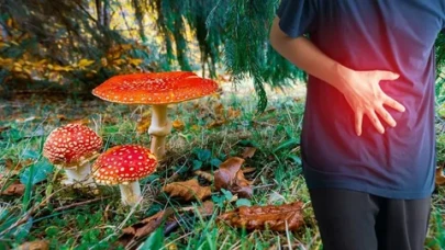 Kastamonu’dan kritik uyarı: Doğadan toplanan mantarlar ölümcül olabilir