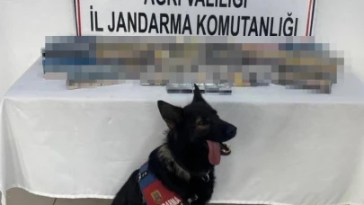 Durdurulan şüpheli araçta bin 227 paket gümrük kaçağı sigara ele geçirildi