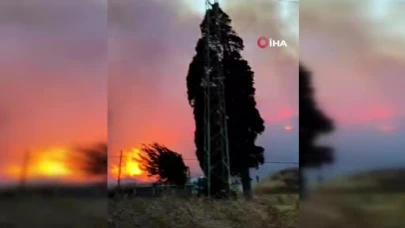 Bursa’da orman yangını...Rüzgarın etkisiyle büyüdü