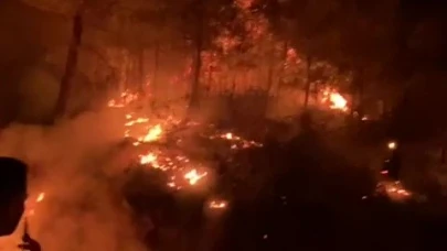 Gazipaşa’da ormanlık alanda yangın