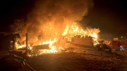 Bahçede yapılan tandır evi küle döndürdü