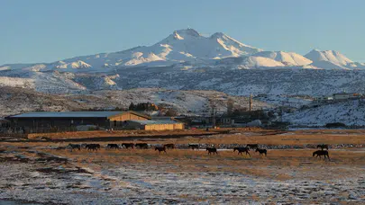 Hürmetçi Sazlığı’nda doğanın sessiz kahramanları: Yılkı atları havadan görüntülendi